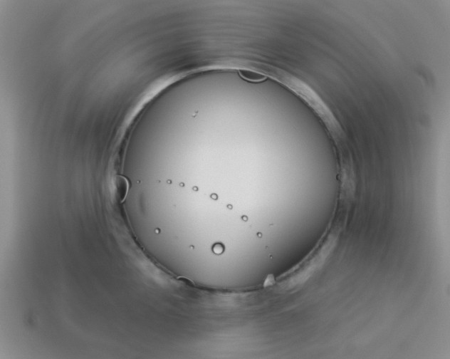 X0000114130908200910221502