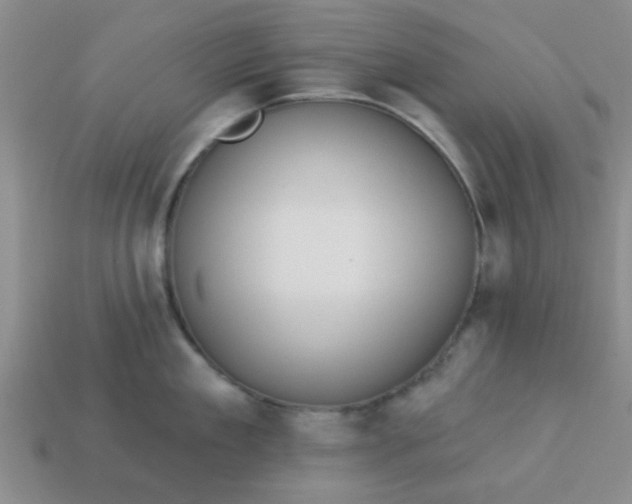 X0000114130909200910221502