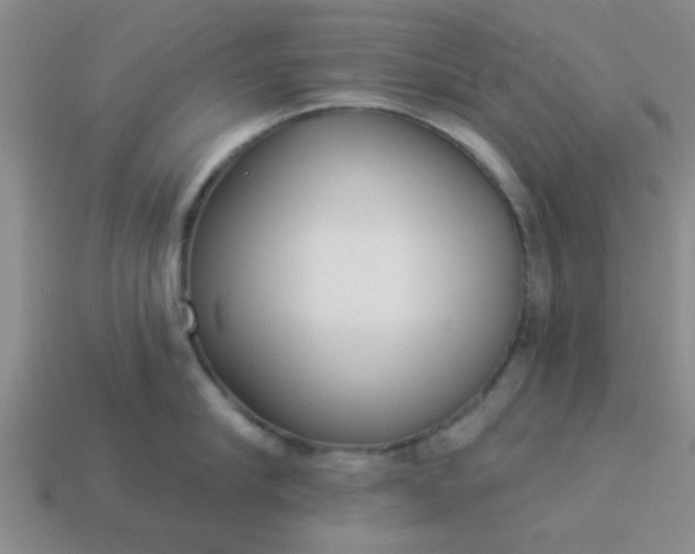 X0000114130910200910221502