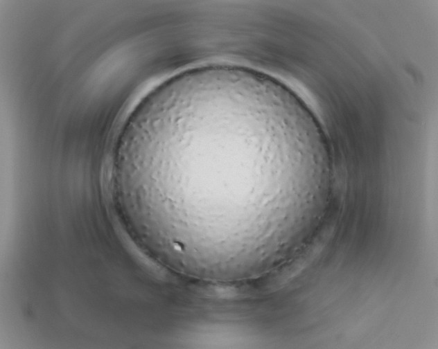 X0000114130911200910221502