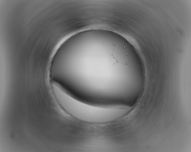 X0000114130912200910221502