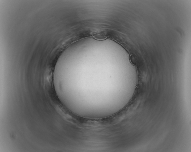 X0000114130914200910221501