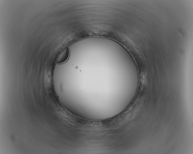 X0000114130915200910221501