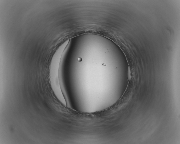 X0000114130916200910221501