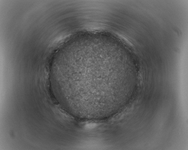 X0000114130917200910221501