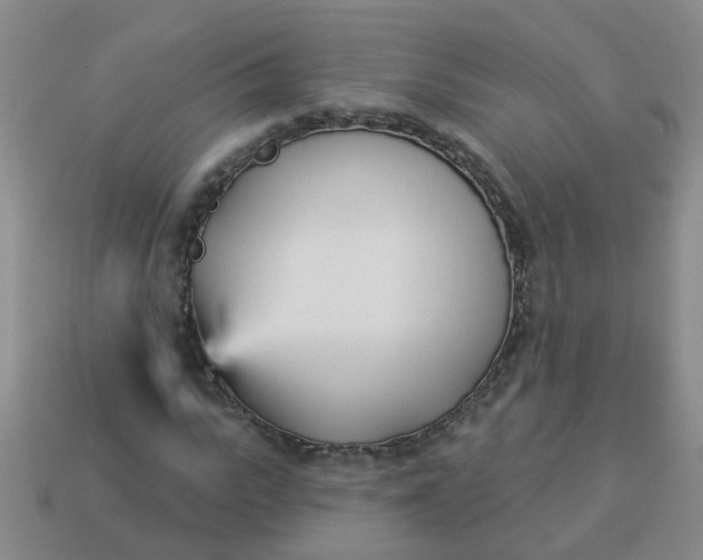 X0000114130919200910221501