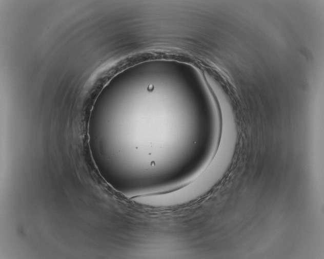 X0000114130920200910221501