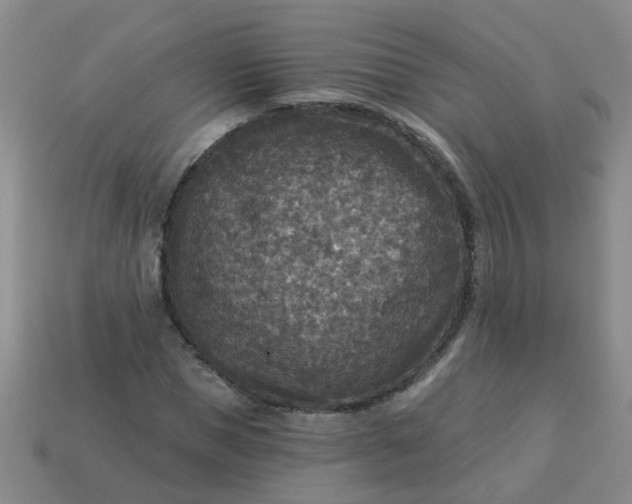 X0000114130921200910221501