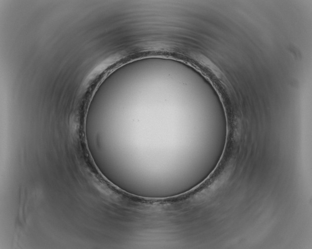 X0000114130922200910221501