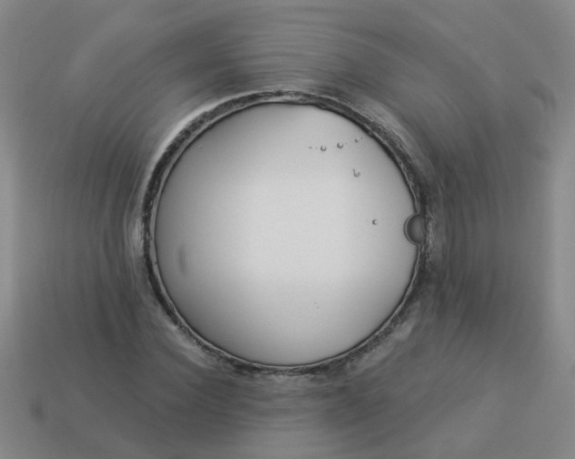 X0000114130924200910221501