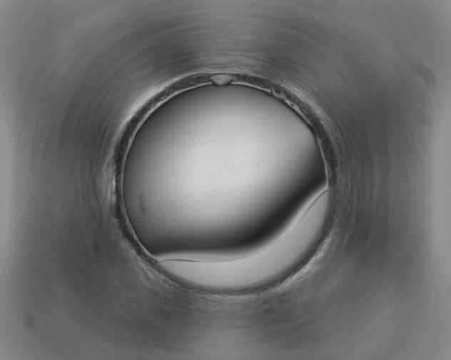 X0000114130925200910221501