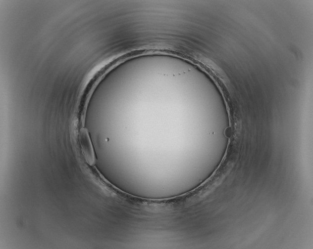 X0000114130928200910221501