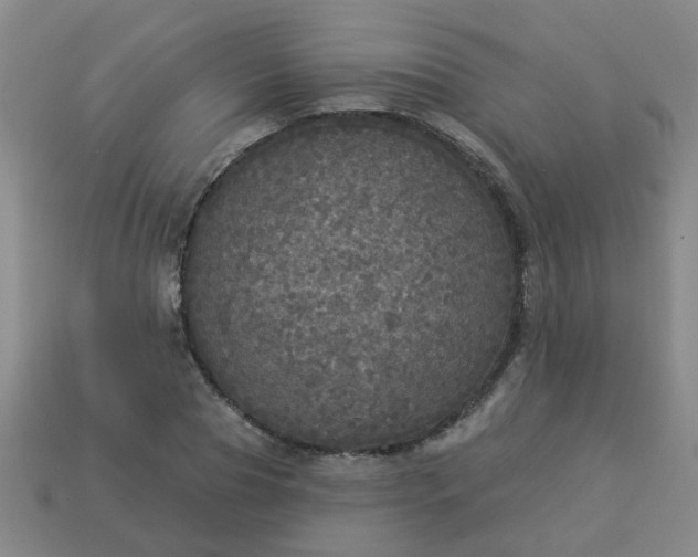 X0000114130929200910221501