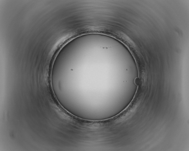 X0000114130930200910221501