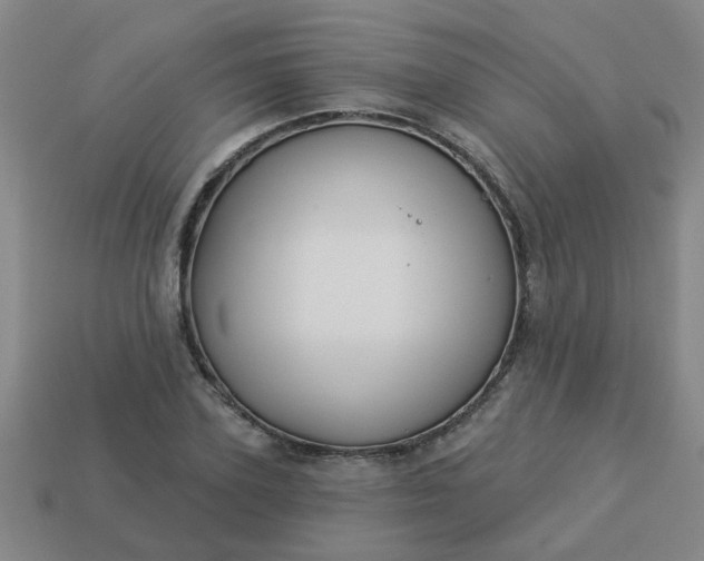 X0000114130931200910221501