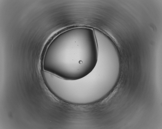 X0000114130932200910221501