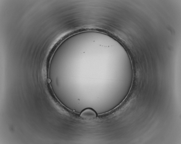 X0000114130934200910221501