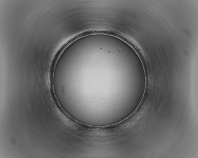 X0000114130935200910221501