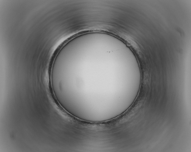 X0000114130936200910221501