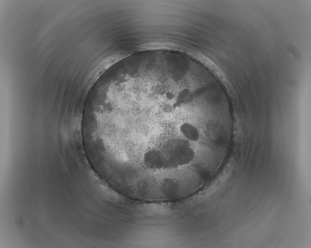 X0000114130937200910221501