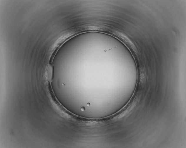 X0000114130938200910221501