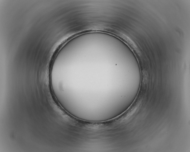 X0000114130939200910221501