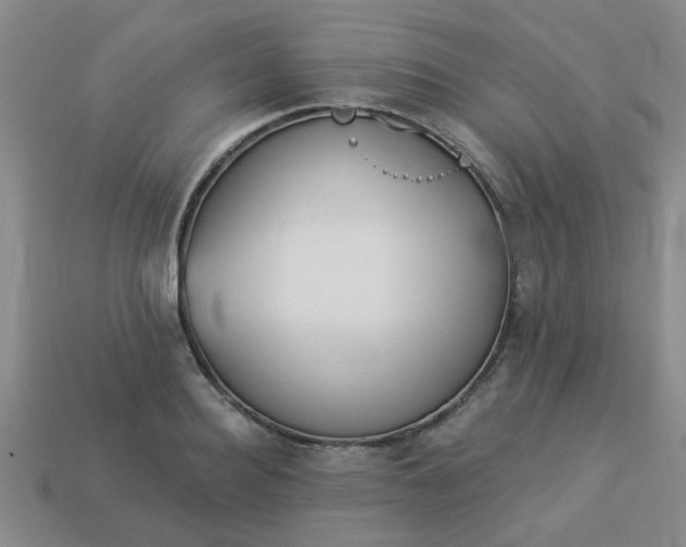 X0000114130940200910221501