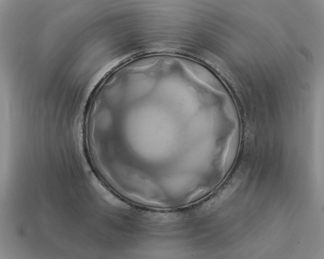 X0000114130941200910221501