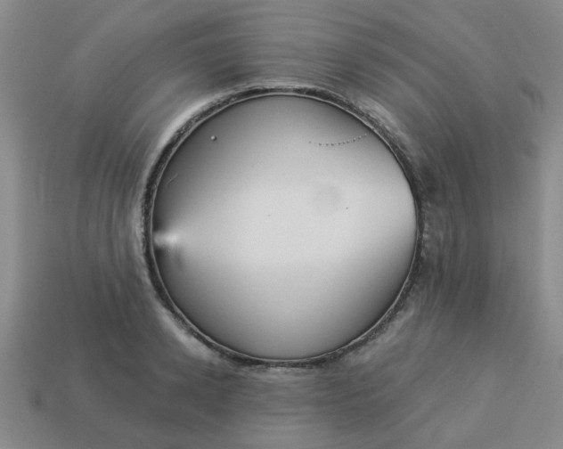 X0000114130942200910221501