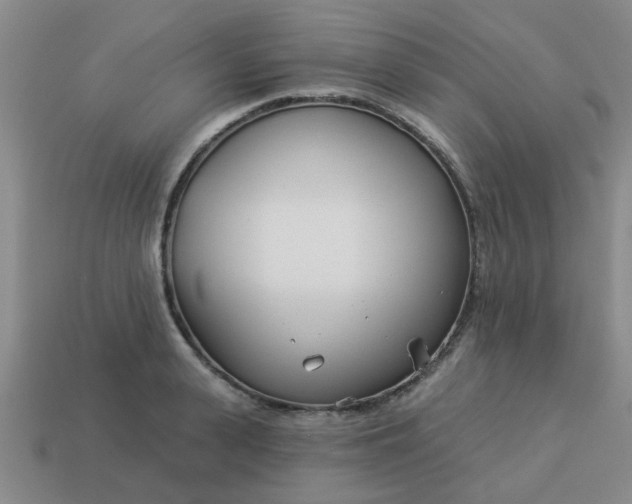 X0000114130943200910221501