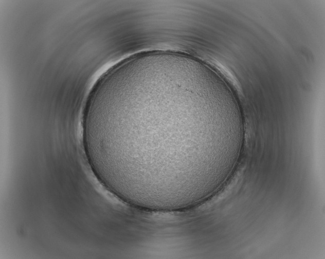 X0000114130944200910221501