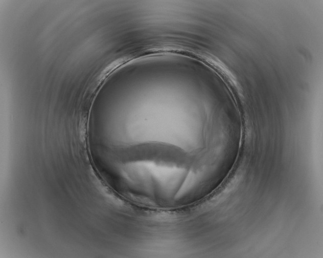 X0000114130945200910221501