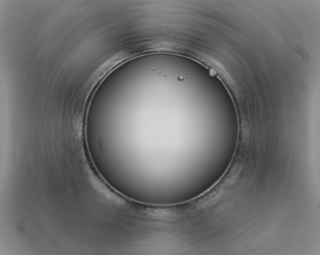 X0000114130946200910221501