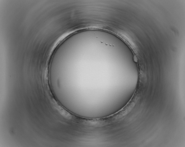 X0000114130948200910221501