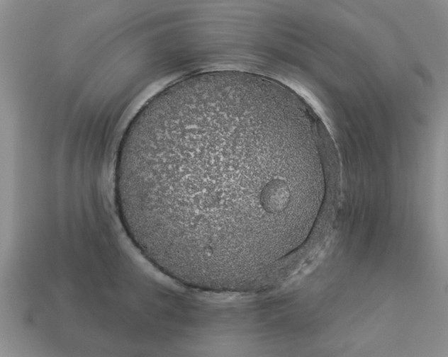 X0000114130949200910221501