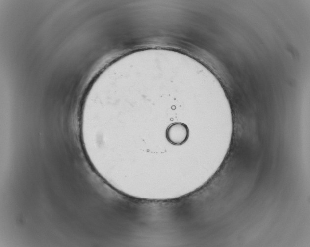 X0000114130950200910221502