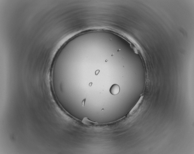 X0000114130951200910221502