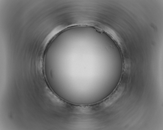 X0000114130952200910221502