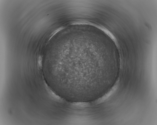 X0000114130953200910221502