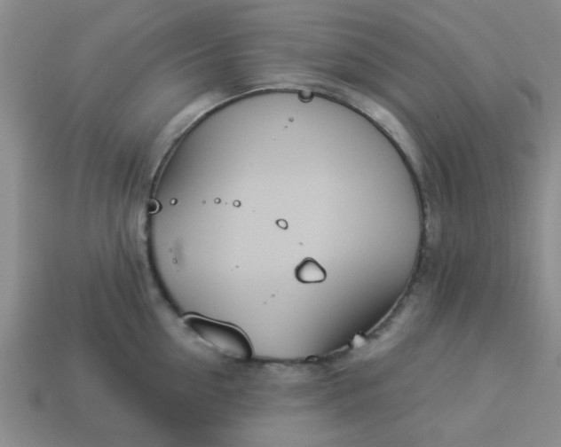 X0000114130954200910221502