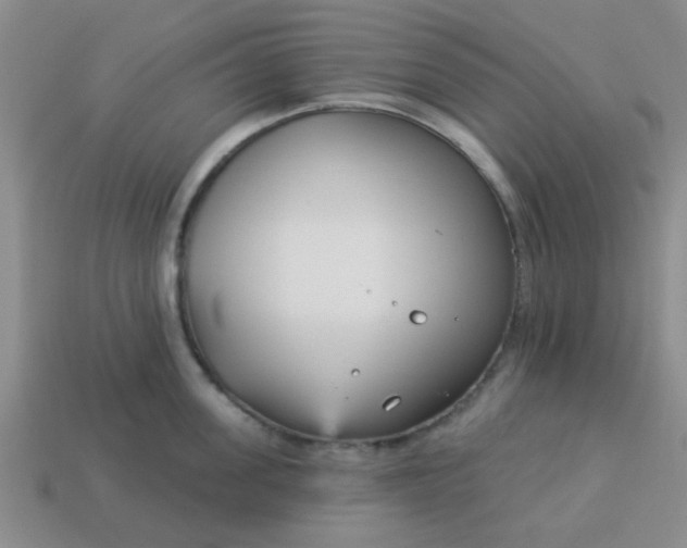 X0000114130955200910221502