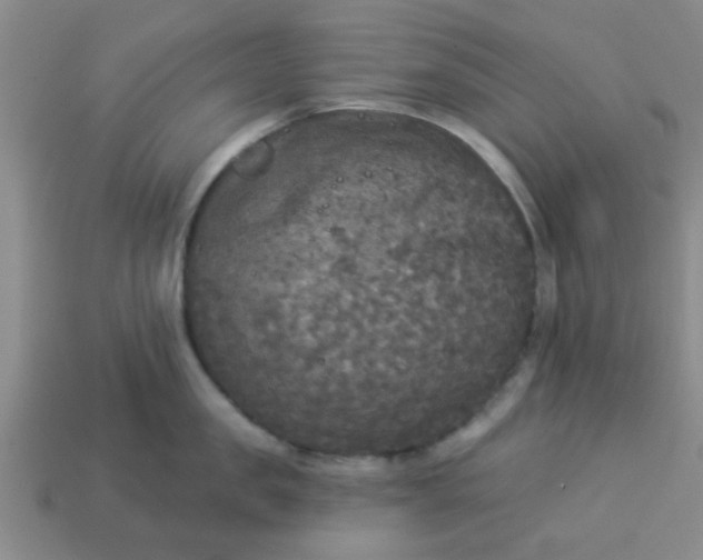 X0000114130957200910221502