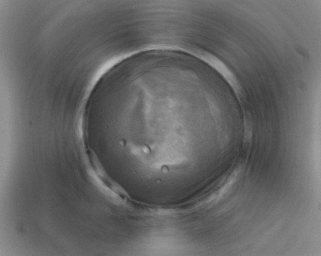 X0000114130958200910221502