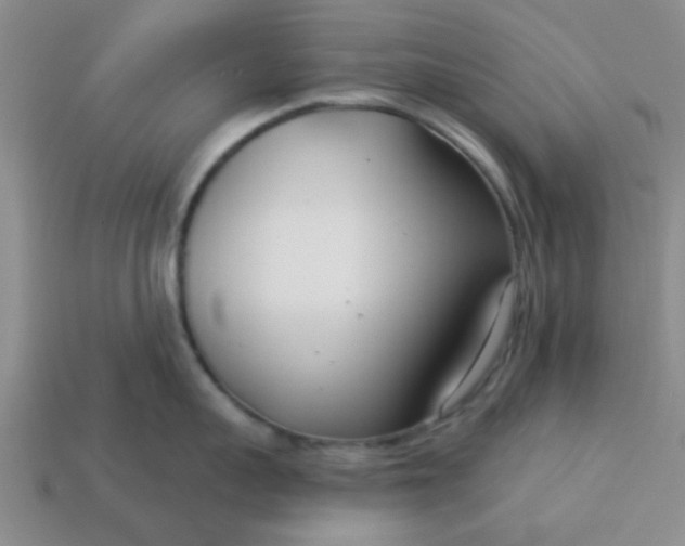 X0000114130959200910221502