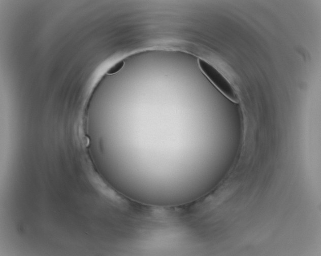 X0000114130960200910221502