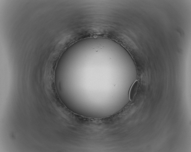 X0000114130961200910221501