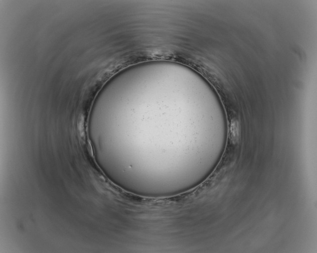 X0000114130963200910221501