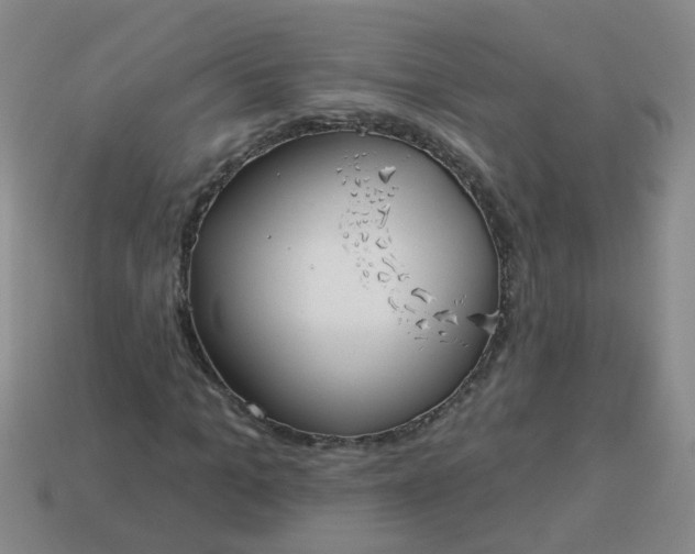 X0000114130965200910221501