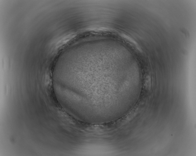 X0000114130966200910221501