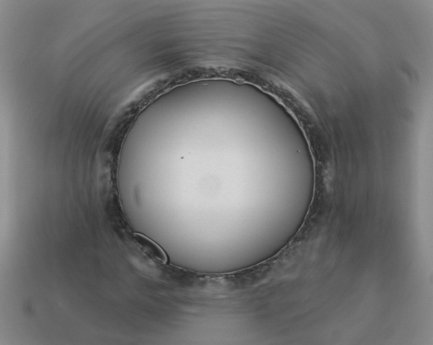 X0000114130968200910221501